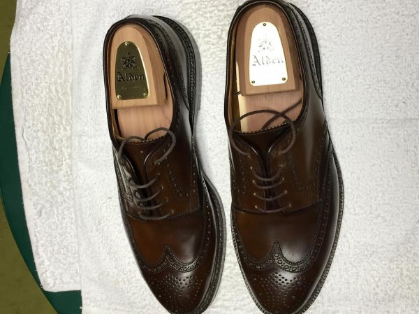 RL Brown Shell Marlow 2.jpg