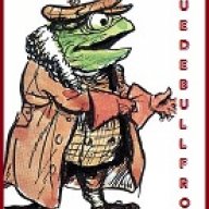 suedebullfrog