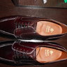 BNIB ALDEN ULTRA CLASSIC 2210 10E COLOR 8 SHELL