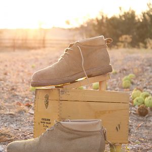 Willis and Geiger Suede Desert Boots