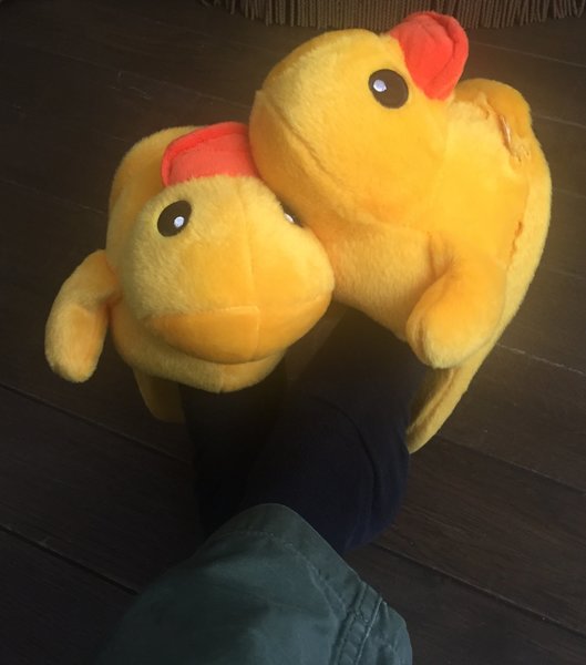 Duck shoes.jpg