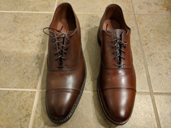 allen edmonds park avenue dark chili