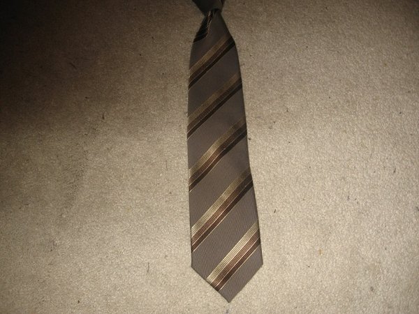 new trussardi tie 1.JPG