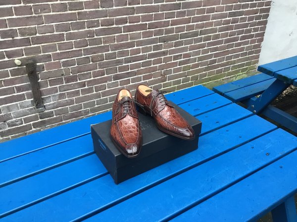 Magnanni Crocodile Derby 3.jpg