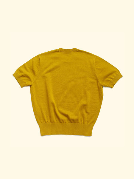 TA_tshirt_mustard_1.jpg