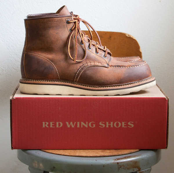 redwing-3.jpg