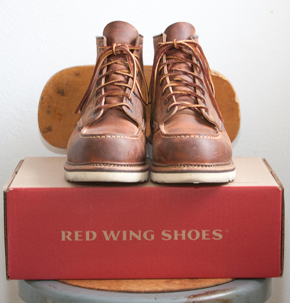 redwing-4.jpg