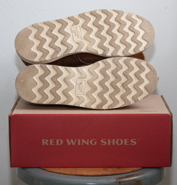 redwing-5.jpg