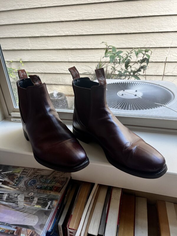 Illya S on Instagram: “Been meaning to get my RM Williams boots