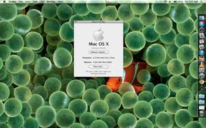 mac4.jpg