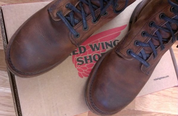 redwing-2.jpg