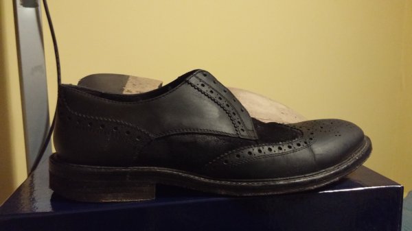 Lab wing tip 1.jpg