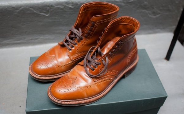 Alden Whiskey Shell.JPG