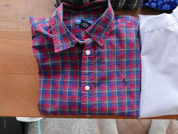 Ralph Lauren Shirts 5.JPG