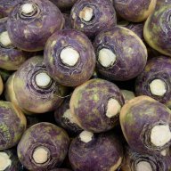 rutabaga