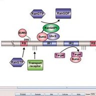 standaloneprotein