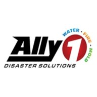 ally1disaster