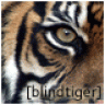 BlindTiger