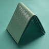 Mint Gator & Turquoise Bifold