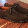 Alden New England 904 Wingtip oxford 9.5D - VERY good