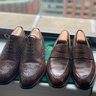 SOLD: C&J Sydney & Meermin Cigar Shell Wingtip