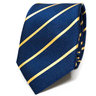 Navy Blue and Gold Neck Tie Slim Skinny Tie