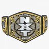 NXT Tag Championship Title Belt