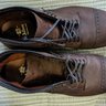 ALDEN D7835 Perf Cap Boot Smooth Tobacco Chamois 9.5D Barrie