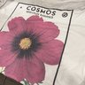 Sold Niche Seed Tee Cosmos