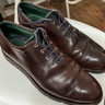 SOLD US11.5 UK10.5 Carmina Handpainted Purple Cordovan Shell Sneakers