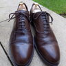 Tod's Men's UK 10.5F Brown Oxford Cap Toe Leather shoes