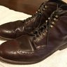 Alden Wingtip Boot 11.5D Barrie Last (PRICE DROP)