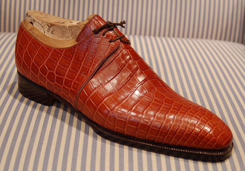 What's the Difference between Alligator Shoes and Crocodile Shoes